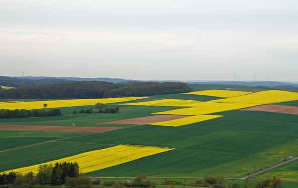 Teppich.Landschaft