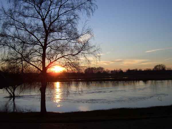 Sonnenuntergang an der Aller