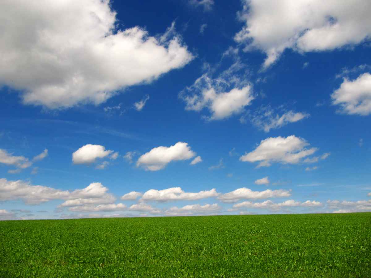 Blau-weiss-grün - Der perfekte Natur-Hintergrund
