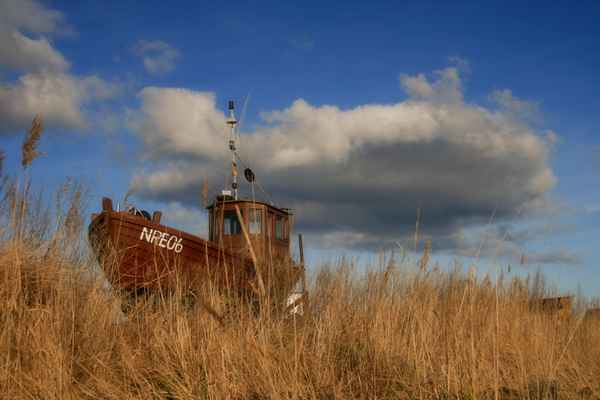 Boot im Gras