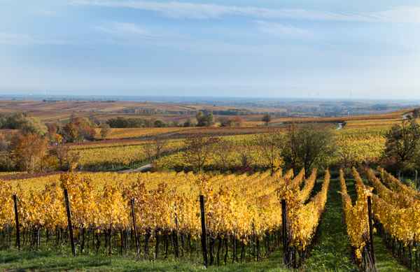 golderner Herbst