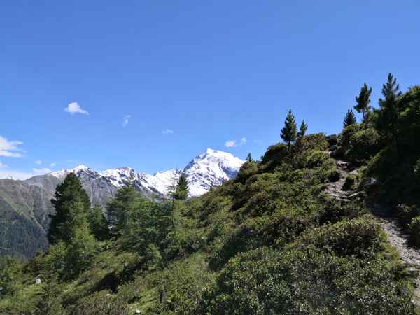 Ortler im Sommer