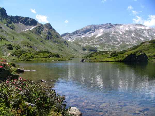 Sommer im Hochgebirge11