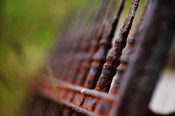 No One here gets out alive!