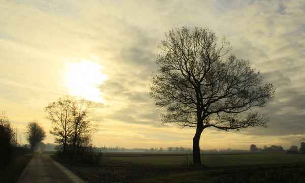 morgens unterwegs 6