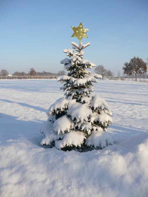Winterlicher Weihnachtsbaum