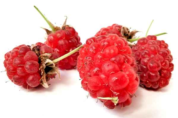 Himbeeren