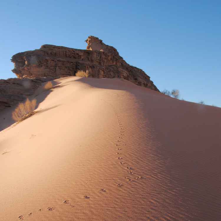 Wadi Rum in Jordanien