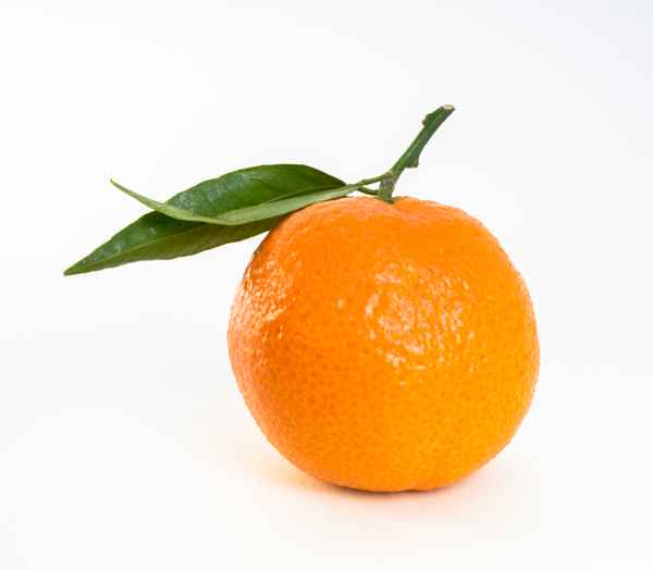 Mandarine