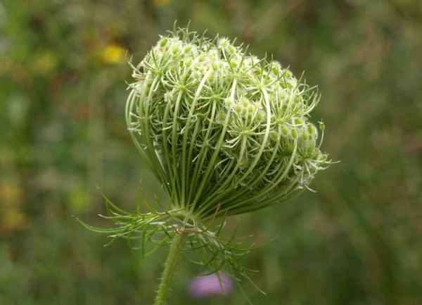 Am Wegesrand
