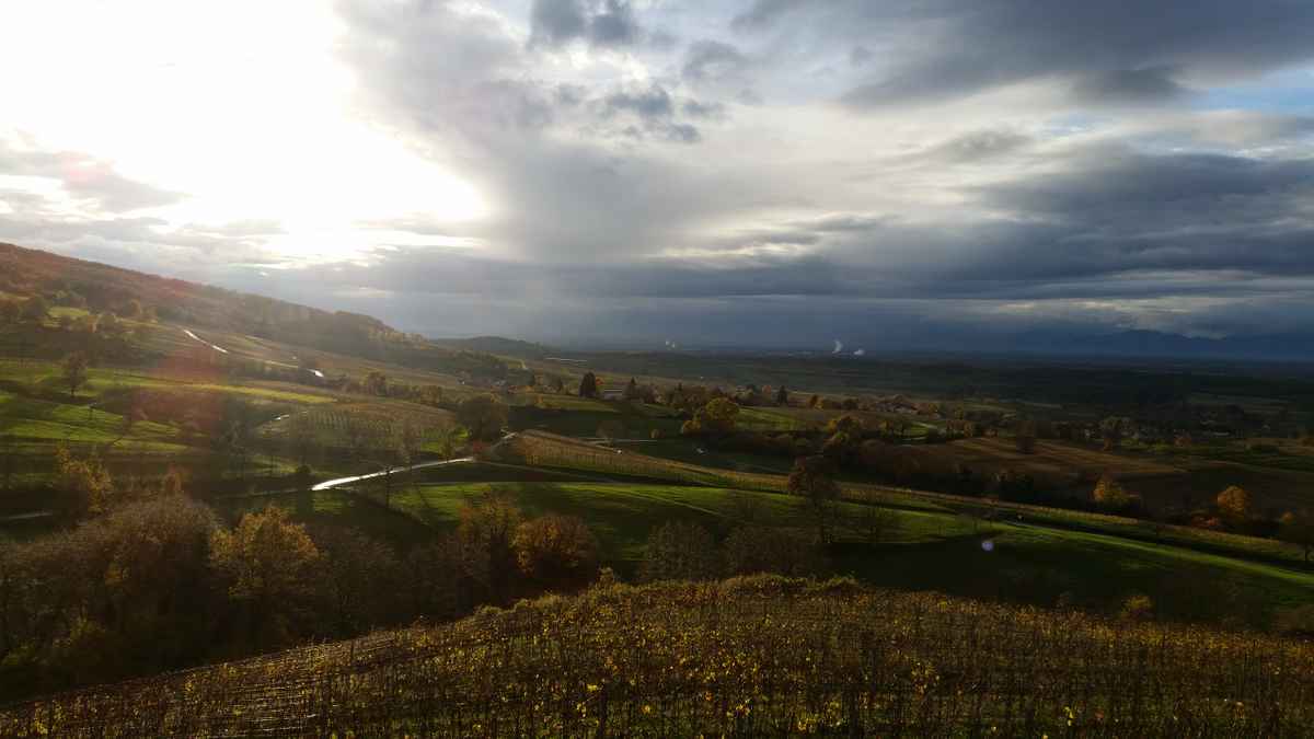 Nach dem Regen