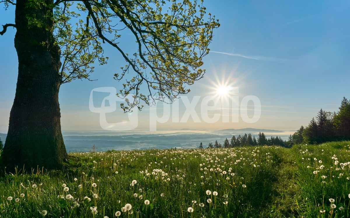 nach Sonnenaufgang in St. Anna
