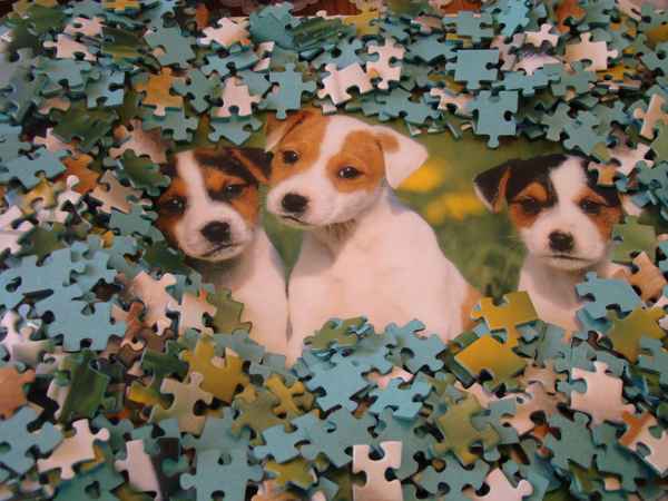 Hunde-Puzzle
