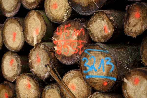 Dezember 2015 Impressionen 4