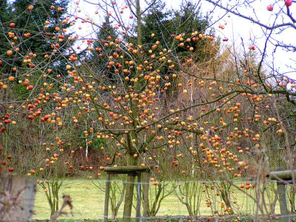 Herbst 5