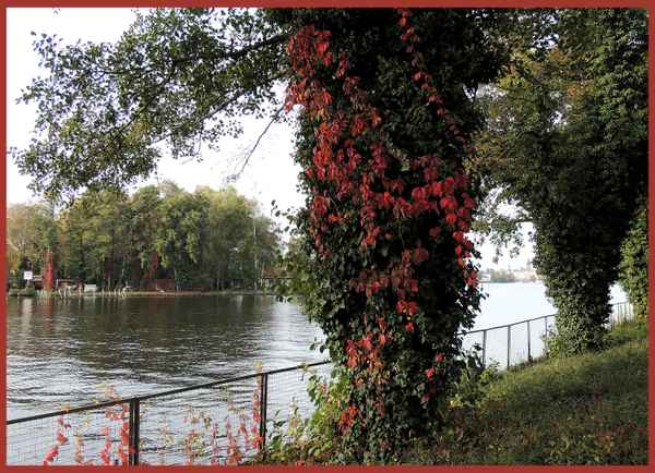 An der Dahme (Köpenick)
