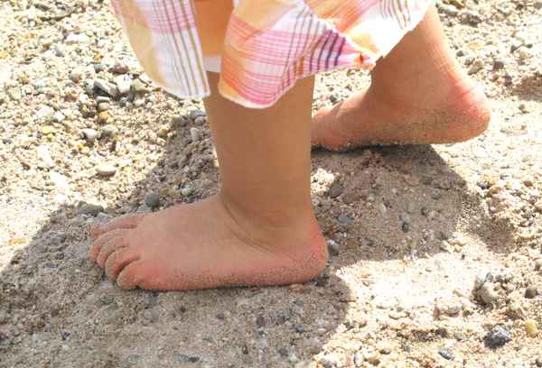 In den Spuren des Sommers