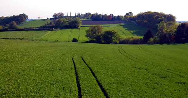 Ländliche Impression aus Essen (Ruhr)