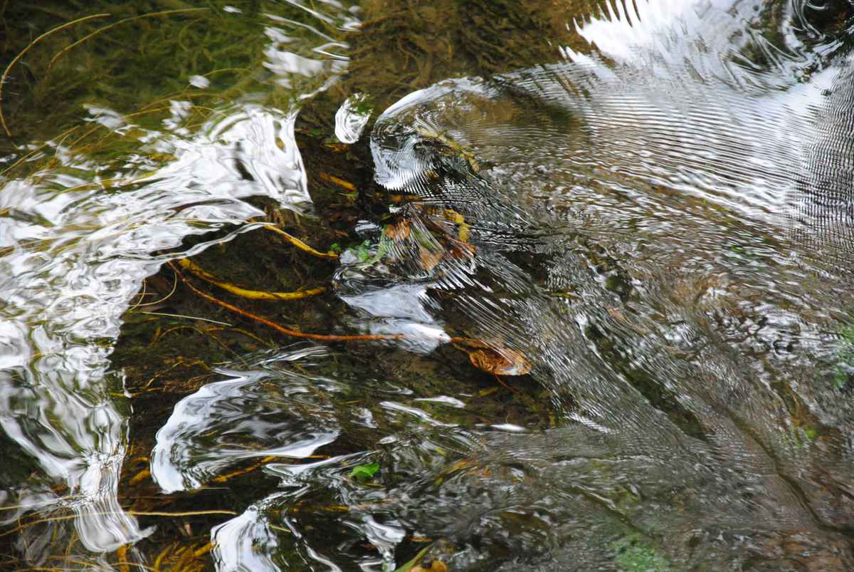 Wasserwege