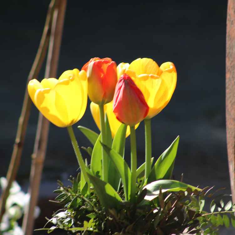 Sie sind mit einer der erster, die hier wunderschön sind.