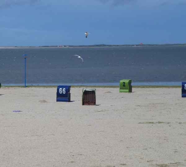 Strandkörbe, Möwen, Meer