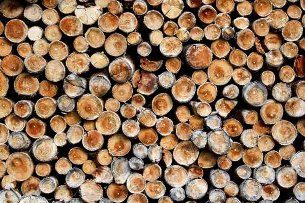 Sammeln für den Winter II