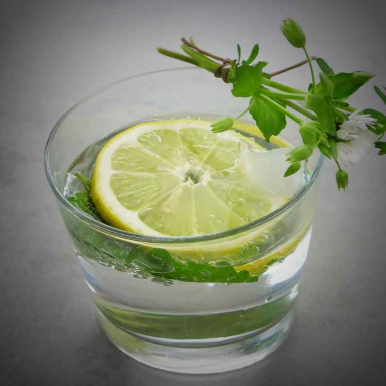 Gin Tonic on Ice