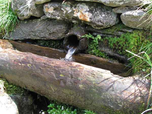 Quellwasser | Quelle