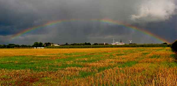 Unter dem Regenboden