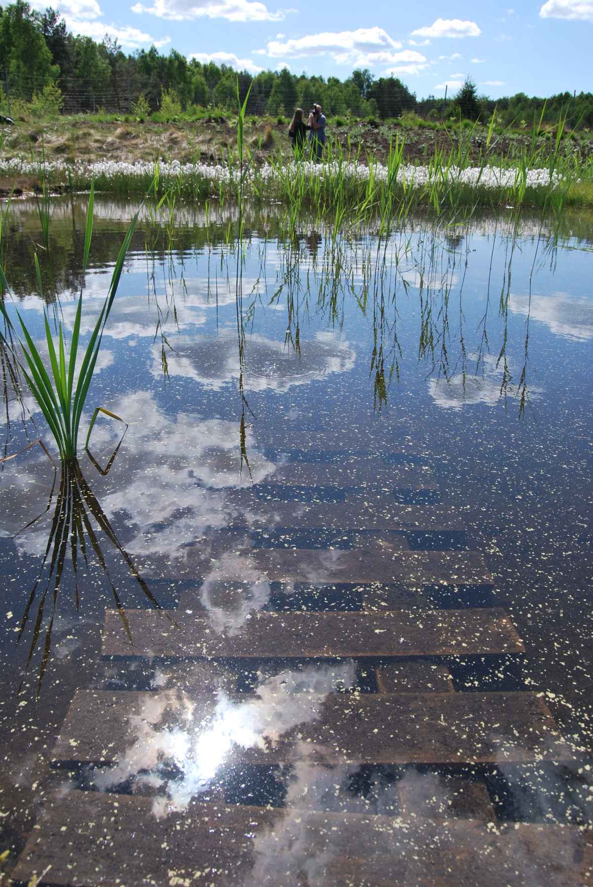 Über,unter und auf dem Wasser
