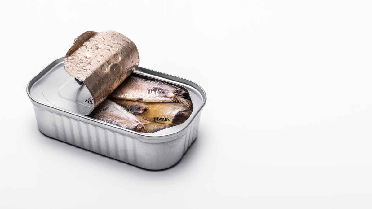 Sardinen in Dosen