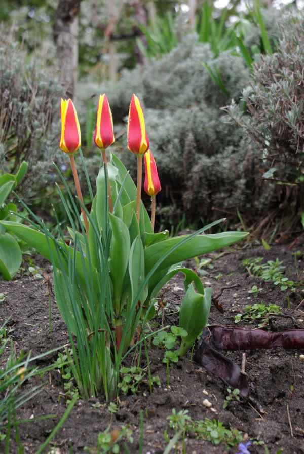 Ludwigsburger Schloss 16