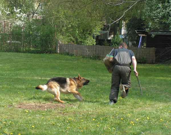 Hundeschule