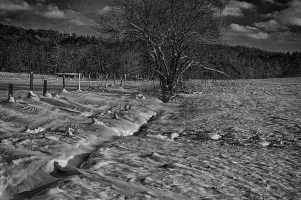 Schneelandschaft