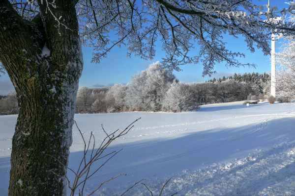 Winter im Eggegebirge