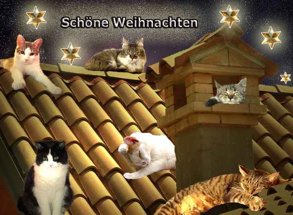 Unterm Sternenhimmel