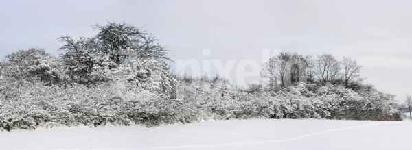 Schneebeladen