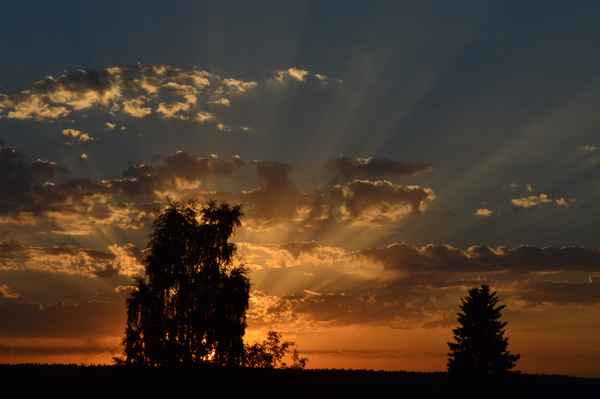 Strahlender Sonnenuntergang hinter Bäumen