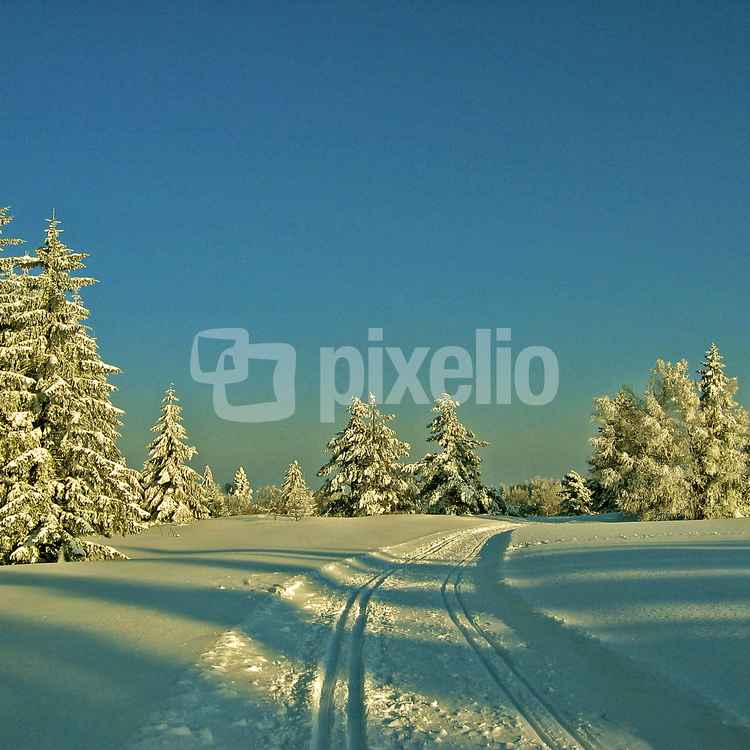 Abendloipe