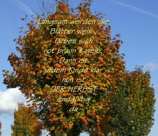 " Der Herbst "