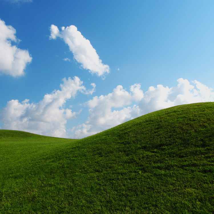 Grüne Hügel vor Morgenhimmel