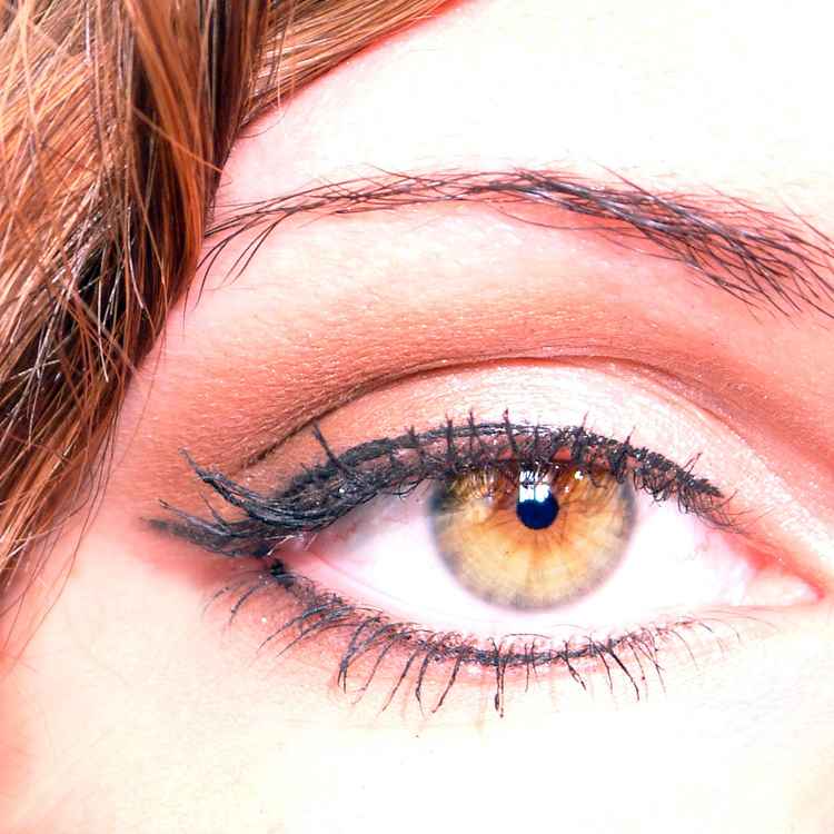 Auge