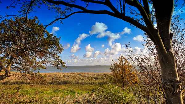 Stille am Bodden