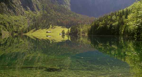 Fischunkelalm