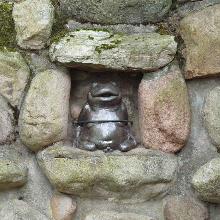 Gefangener Frosch - Was hat er nur angestellt?