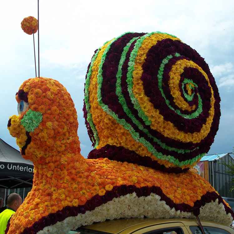 die Schnecke aus Blumen