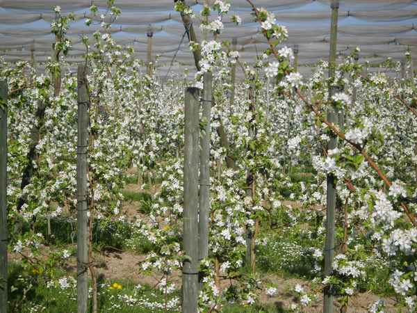 Schutz für alle Fälle