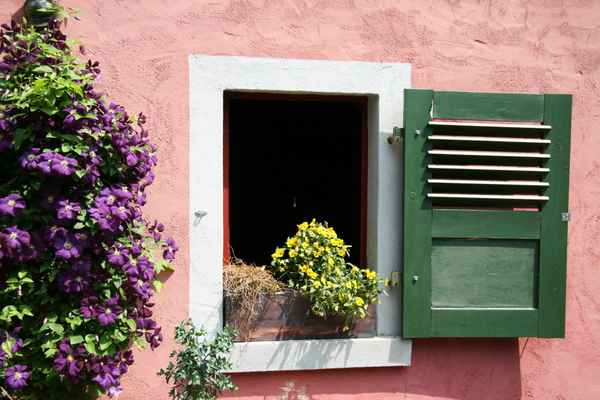 Das Fenster im Hof