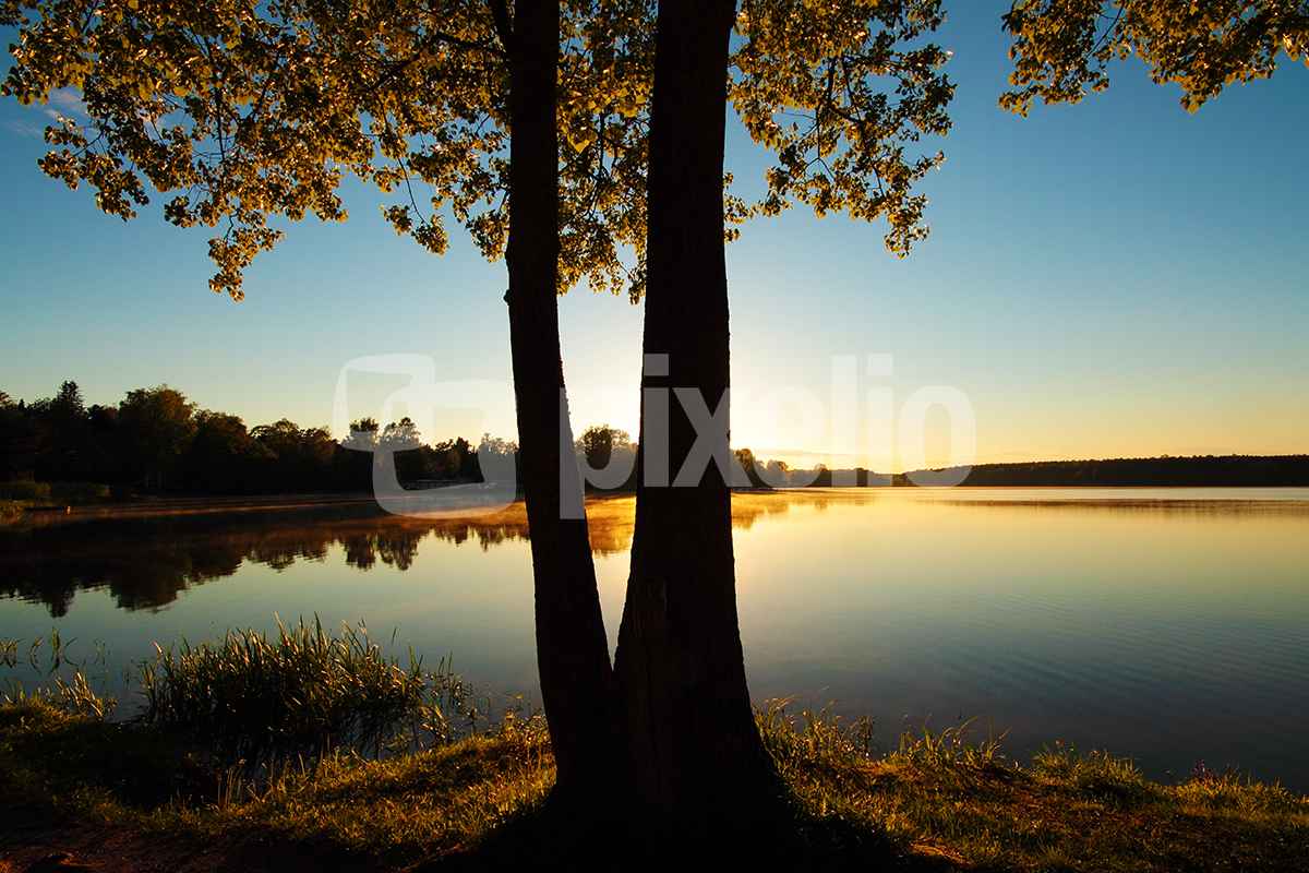 Maiabend am Weiher