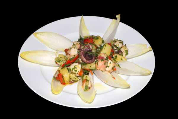 Pulpo 1